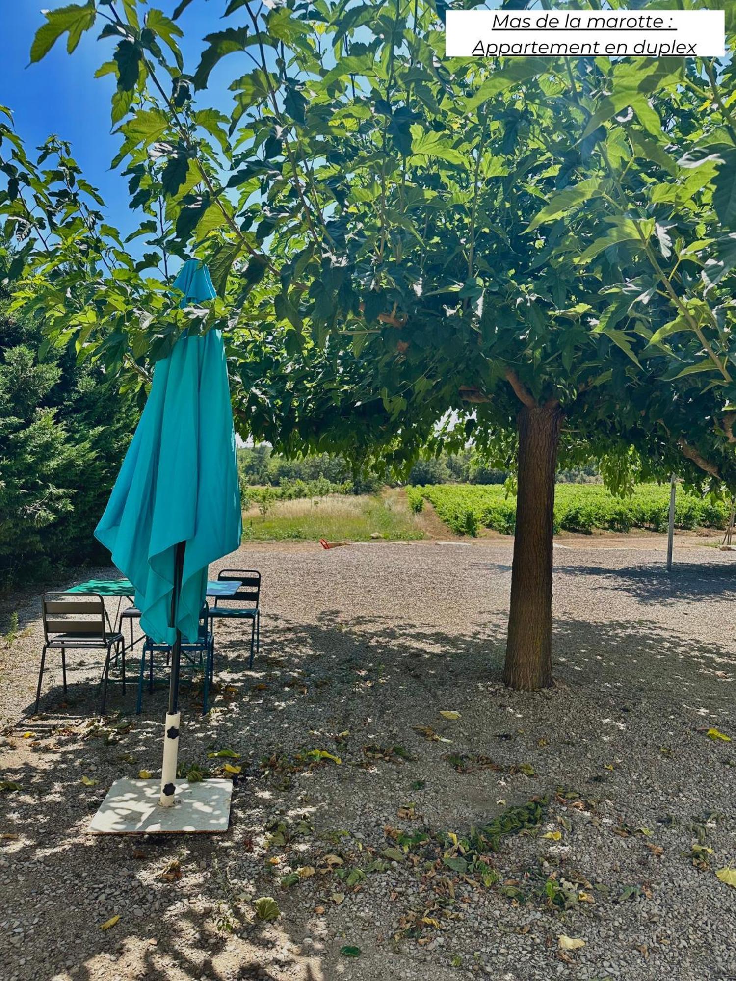 Appartamento Domaine Les Terres De Saint-Hilaire Ollières Esterno foto