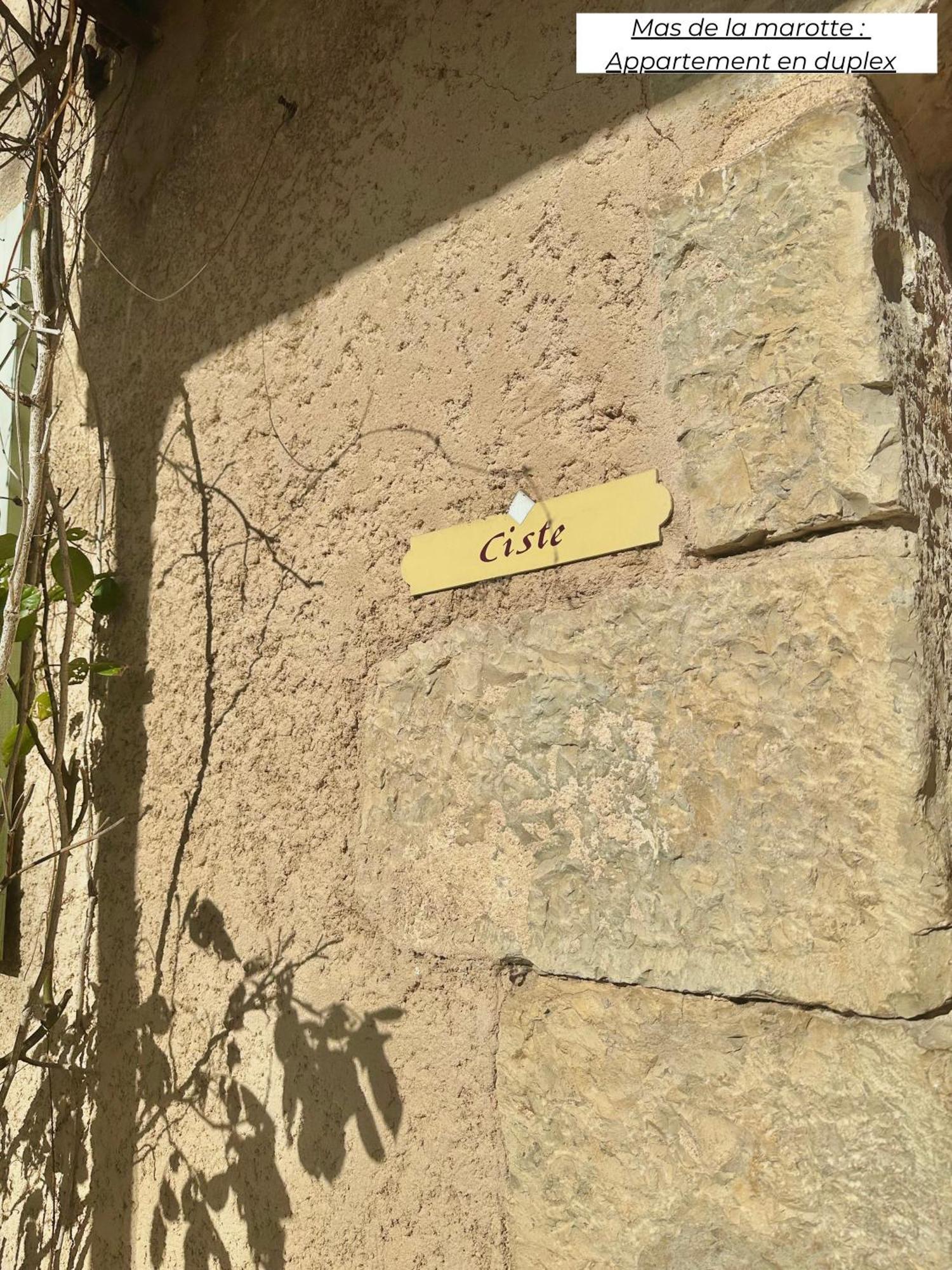 Appartamento Domaine Les Terres De Saint-Hilaire Ollières Esterno foto